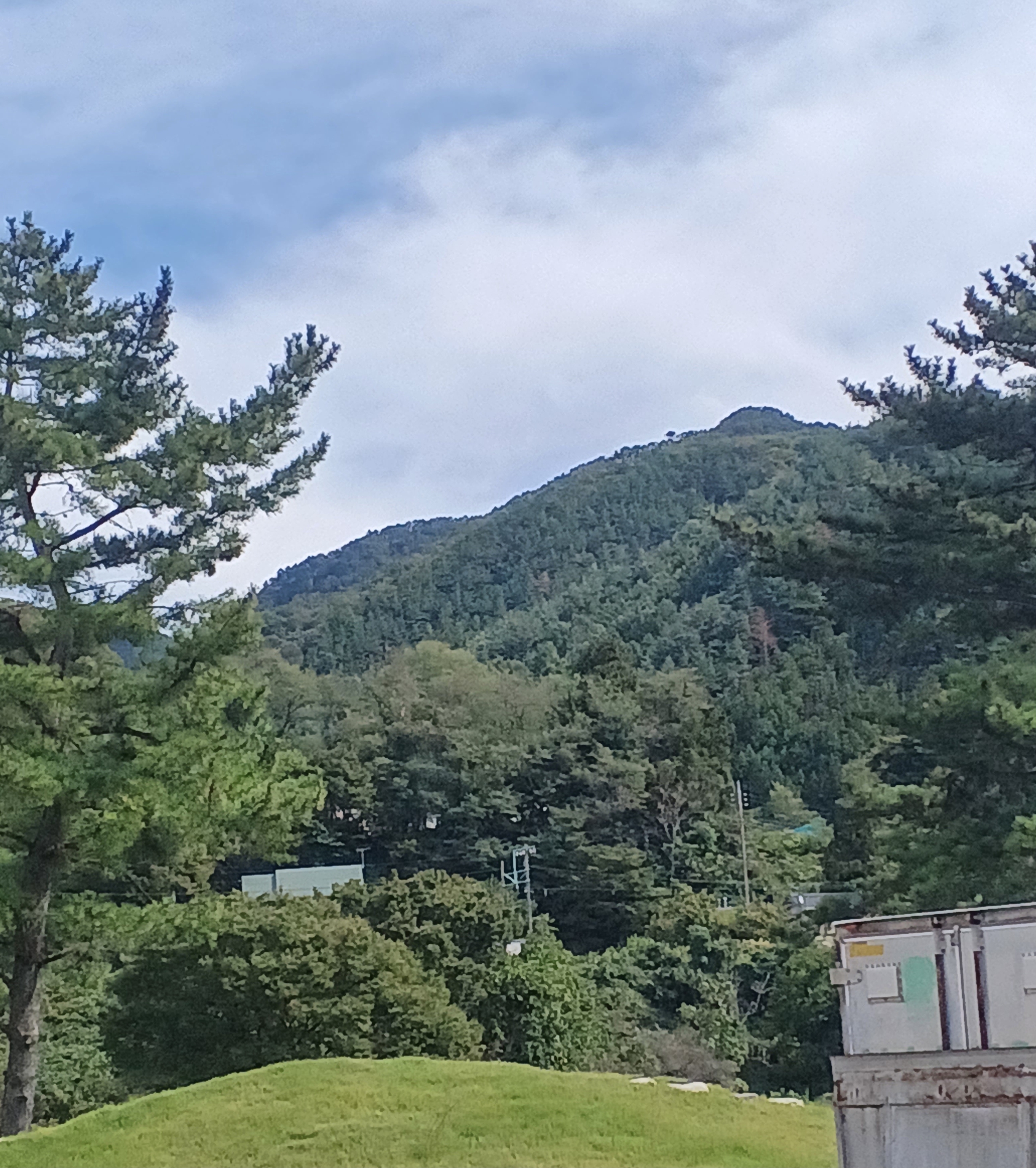 山