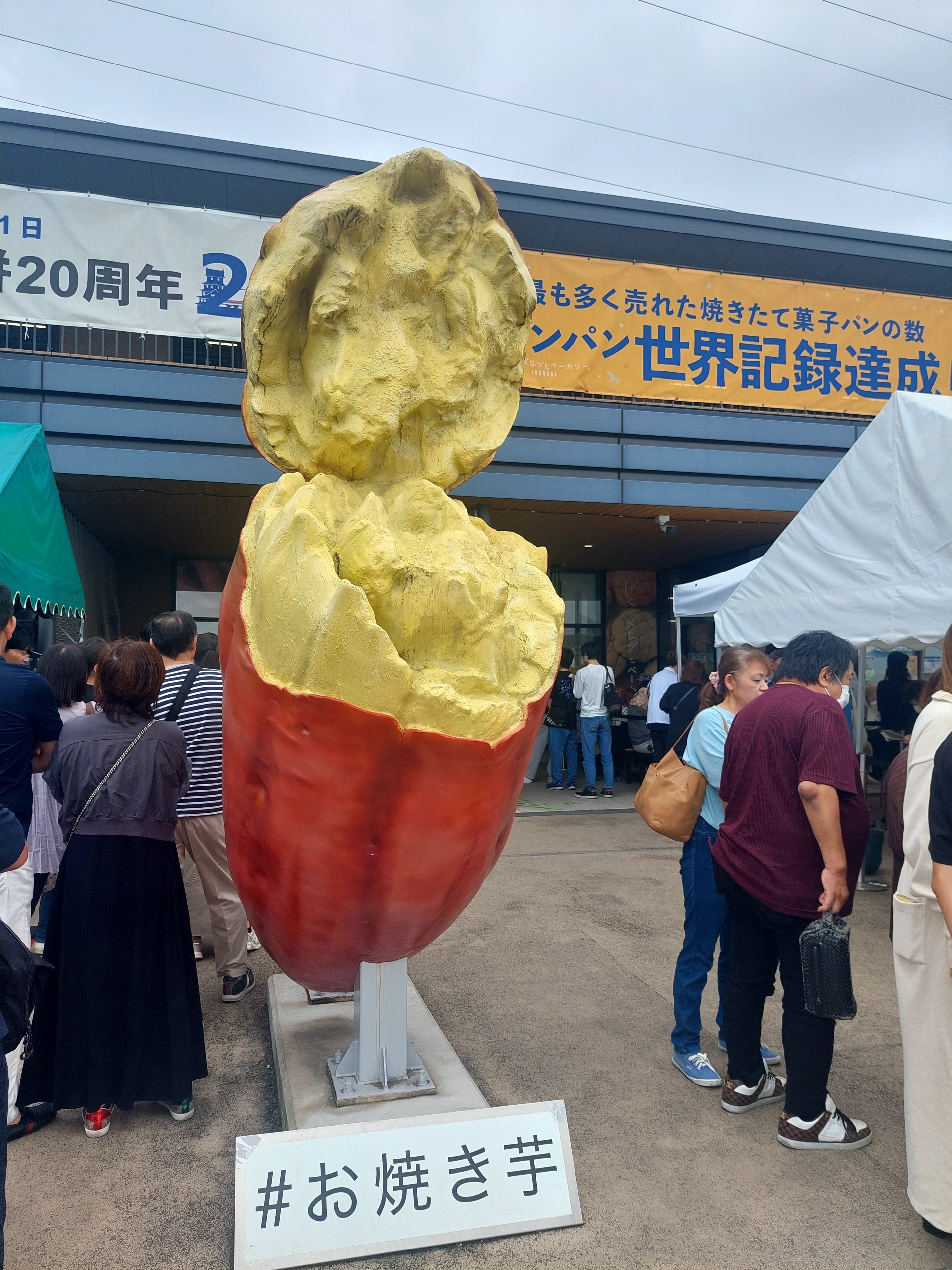 芋