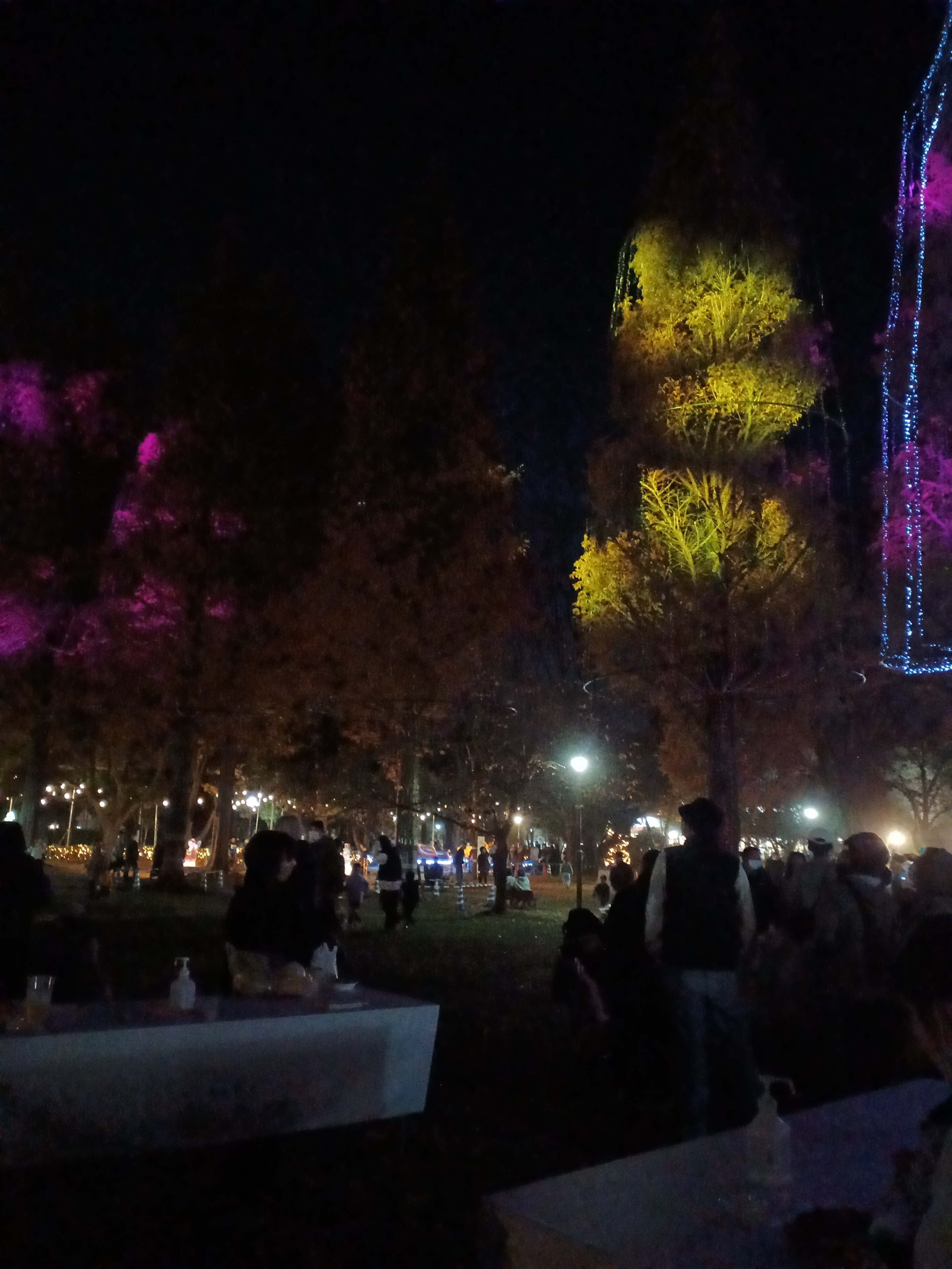 イルミネーション